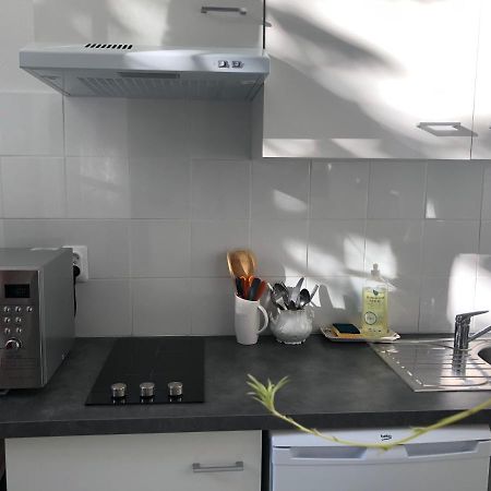 Villa Camelia Grand Studio Quartier Thermal Vichy Kültér fotó