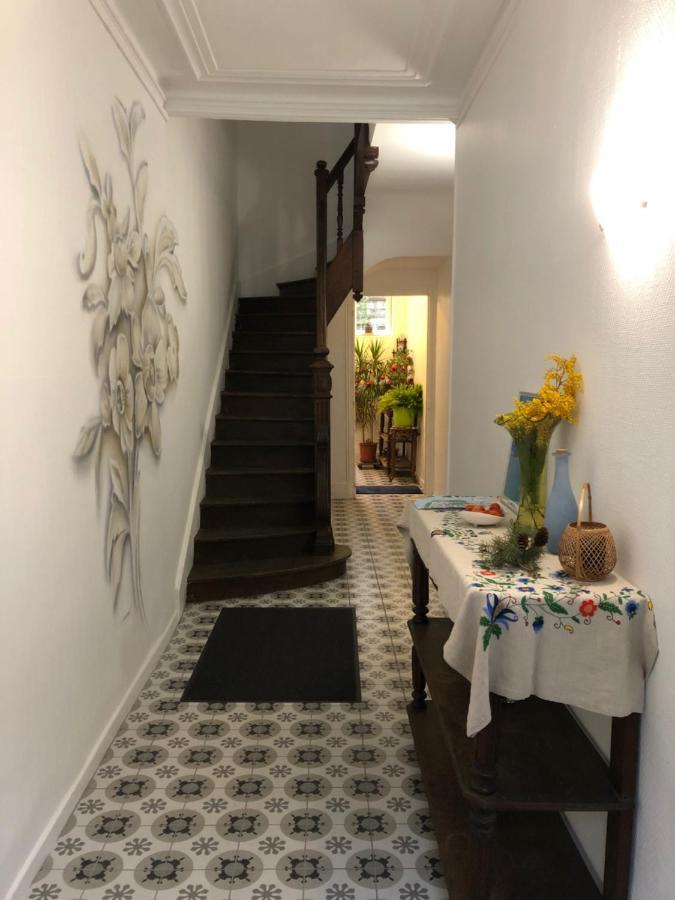 Villa Camelia Grand Studio Quartier Thermal Vichy Kültér fotó